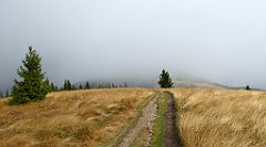 267_TZ60_P1050070_cr