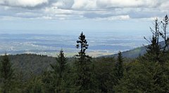 272_TZ60_P1050075_cr