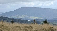 287_TZ60_P1050090_cr