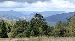 295_TZ60_P1050098_cr