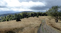 300_TZ60_P1050103_cr