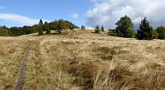 302_TZ60_P1050105_cr