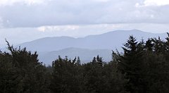 314_TZ60_P1050109_cr