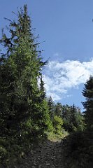 322_TZ60_P1050114_cr