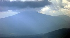 324_TZ60_P1050115_cr