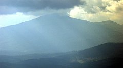 325_TZ60_P1050116_cr