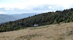 344_TZ60_P1050130_cr