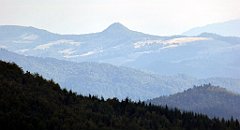 354_TZ60_P1050141_cr