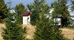 366_TZ60_P1050154_cr