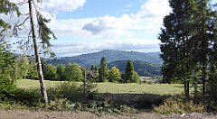 375_TZ60_P1050159_cr