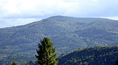 377_TZ60_P1050161_cr