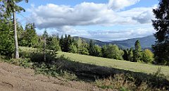 382_TZ60_P1050166_cr