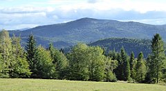 387_TZ60_P1050170_cr