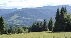 389_TZ60_P1050173_cr