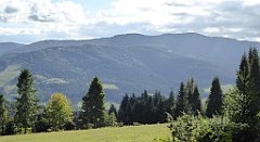 396_TZ60_P1050180_cr