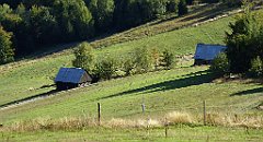 405_TZ60_P1050186_cr