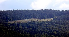 408_TZ60_P1050189_cr