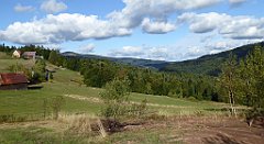 431_TZ60_P1050208_cr