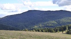 443_TZ60_P1050219_cr