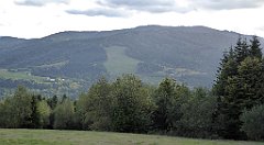 449_TZ60_P1050225_cr