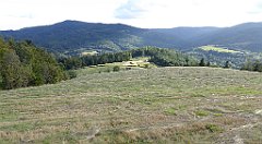 452_TZ60_P1050229_cr