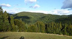 460_TZ60_P1050234_cr