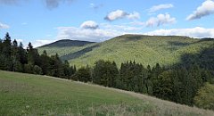 467_TZ60_P1050242_cr