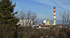 037_TZ60_P1060392_cr