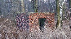 121_TZ60_P1060429_cr