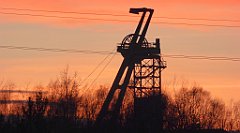 160_TZ60_P1060468_cr