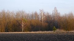 167_TZ60_P1060526_cr