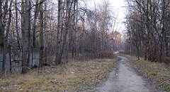 169_TZ60_P1060528_cr