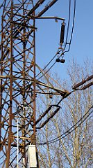 015_TZ60_P1060596_cr