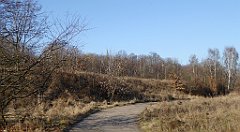 054_TZ60_P1060616_cr