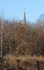 055_TZ60_P1060617_cr