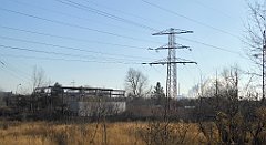 060_TZ60_P1060620_cr