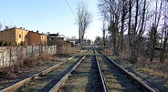 070_TZ60_P1060624_cr