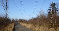 087_TZ60_P1060631_cr