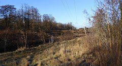 088_TZ60_P1060632_cr