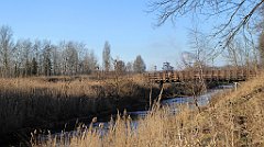 128_TZ60_P1060640_cr