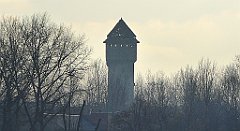 168_TZ60_P1060656_cr