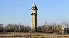 202_TZ60_P1060689_cr