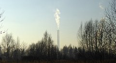 081_TZ60_P1060714_cr