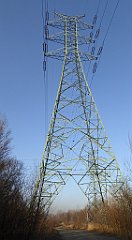 106_TZ60_P1060728_cr