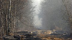 116_TZ60_P1060732_cr