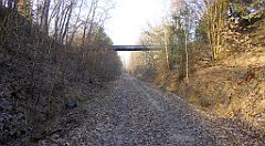 161_TZ60_P1060740_cr