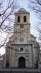 177_TZ60_P1060754_cr