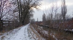 046_TZ60_P1070682_cr