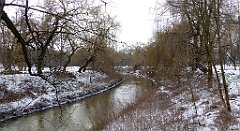 125_TZ60_P1070762_cr