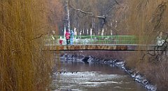 139_TZ60_P1070776_cr